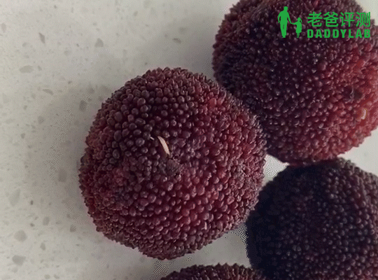 杨梅|不敢相信！显微镜放大40倍，我竟看到了杨梅里正在蠕动的……