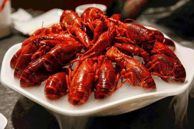 免费逛沙雕园 享美食宴 追蓝眼泪