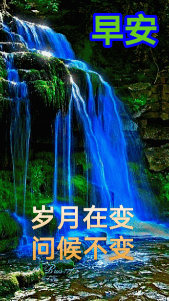 346_615竖版 竖屏gif 动态图 动图