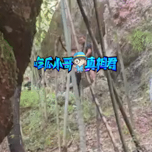 皓衣行|皓衣行剧组为殴打“粉丝”道歉，声明对方先动手，已将打人者开除