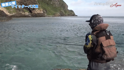 鱼类|日本网友无意间钓到五彩怪鱼，到底是个什么东西？