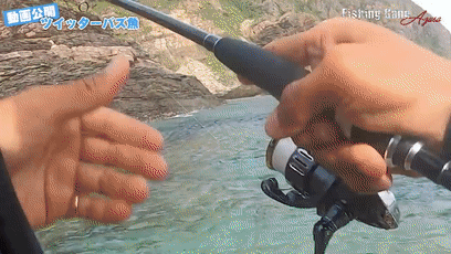 鱼类|日本网友无意间钓到五彩怪鱼，到底是个什么东西？