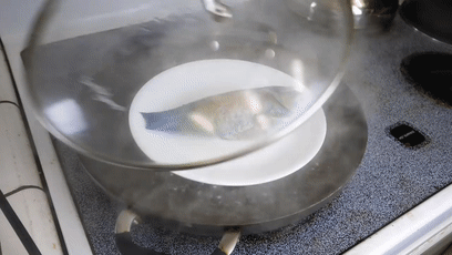 鱼类|日本网友无意间钓到五彩怪鱼，到底是个什么东西？