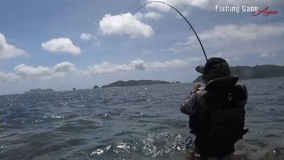 鱼类|日本网友无意间钓到五彩怪鱼，到底是个什么东西？