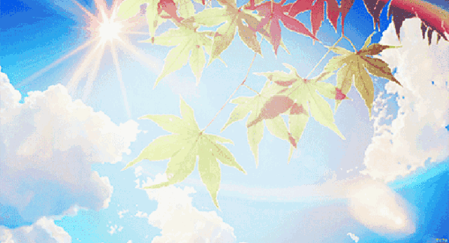 皮肤|人真的能被“晒”笨！丹麦实验发现：阳光直射让大脑受损