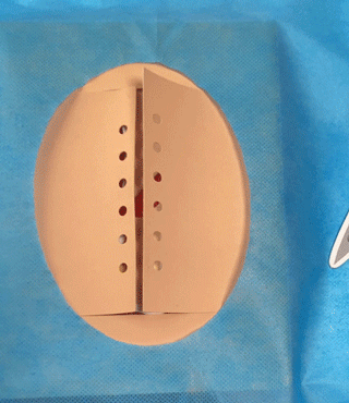 孩子|拍X光片、手术缝合、自制血液循环……娃竟然玩了俩小时没理我！