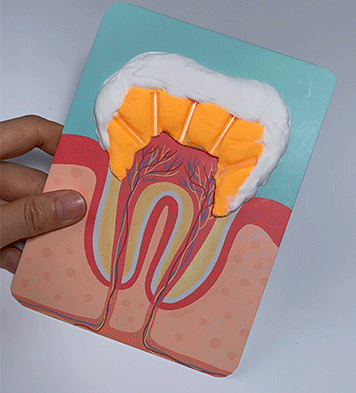 孩子|拍X光片、手术缝合、自制血液循环……娃竟然玩了俩小时没理我！