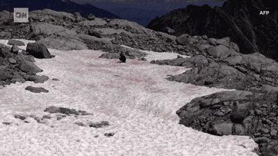 阿尔卑斯山脉|阿尔卑斯山“流血”了？