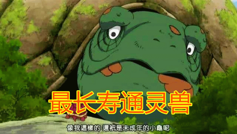 这是云隐村世代供奉的大乌龟,年龄已经超出天际,凯皇的忍龟在他面前就