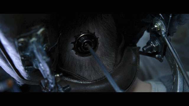 脑机接口|吊打上司，独占女神，马斯克说一年就将植入人脑的脑机接口有多神