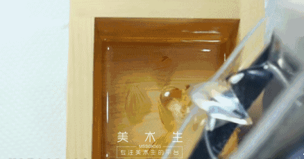 日本人|这个“变态”的日本人，画了12年的金鱼，把金鱼画活了