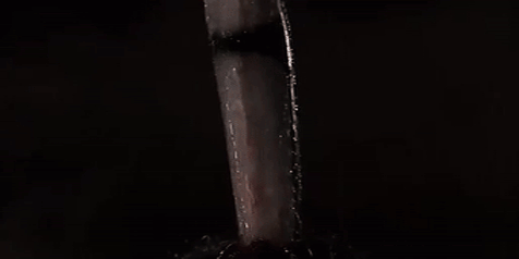 食脑虫|“食脑虫”再现美国，致死率高达97％，但这还不是最可怕的