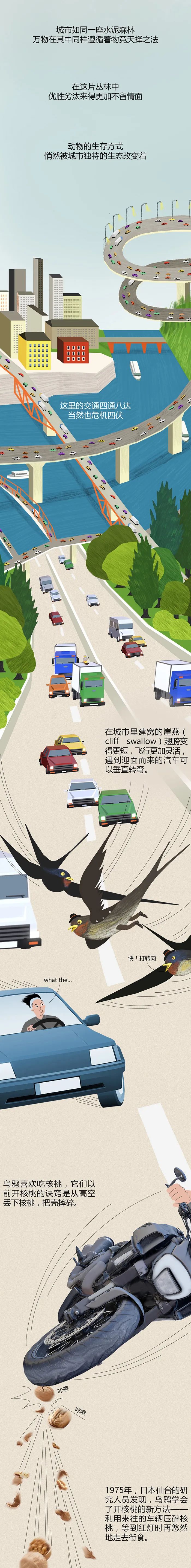 science|城市动物演化录