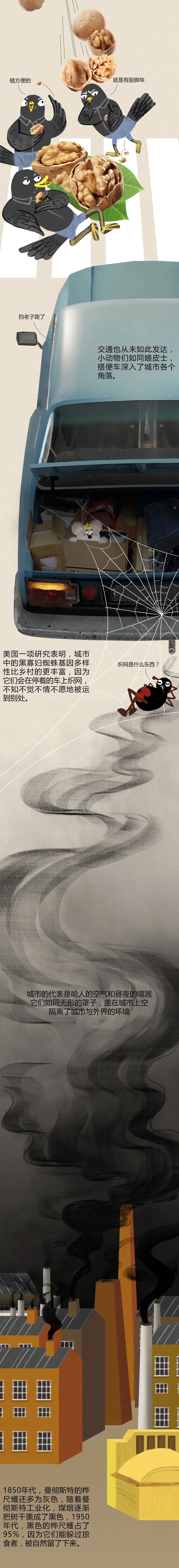 science|城市动物演化录