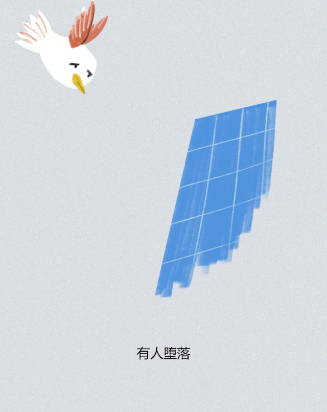 science|城市动物演化录