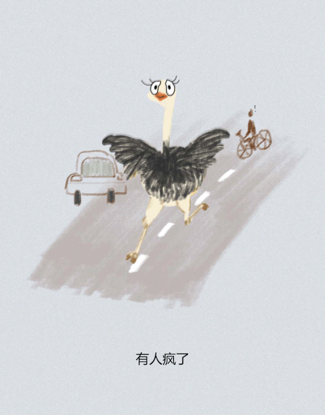 science|城市动物演化录