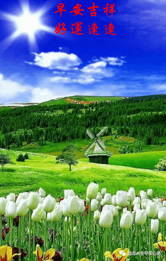 20206112612星期三早上好