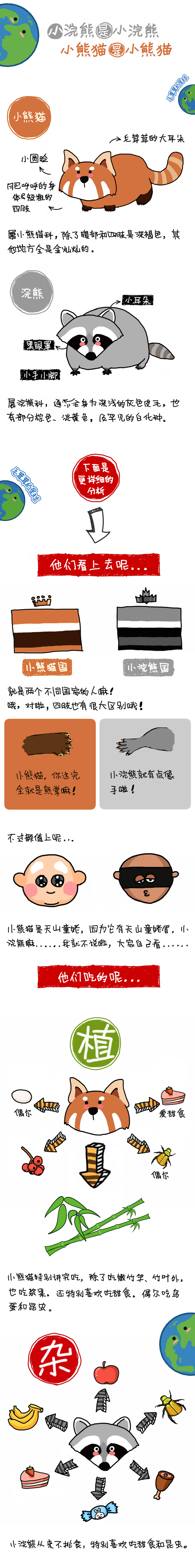 猫小浣熊|小熊猫小浣熊是谁还傻傻分不清楚？