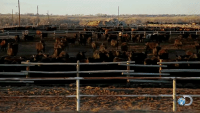 甲烷|北美页岩气革命欠下的环境债，恐怕要全世界一起还了