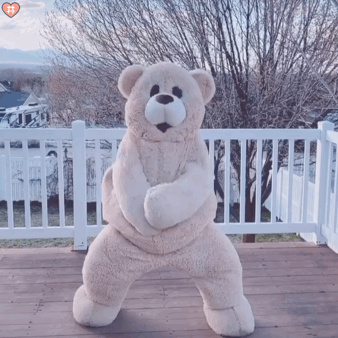 泰迪熊跳舞表情包gif图片
