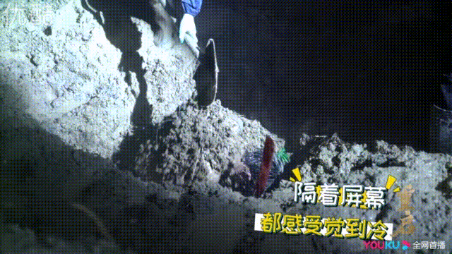 南派三叔|反派BOSS登场，南派三叔在线追星！盗墓笔记重启，14万人打出8.2分