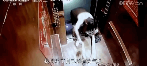 友谊|你看错姐姐了，我们乘风破浪从不靠撕：别再对女性友谊抱有偏见