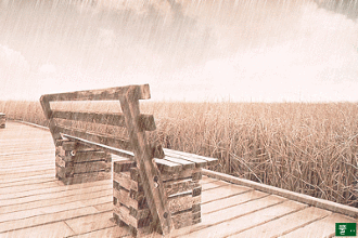 李不嫁|最后，再没有谁替它们呐喊了