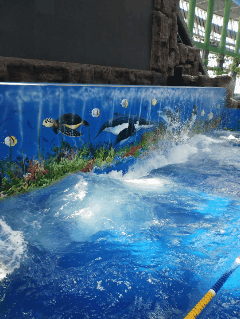 7月22日鹤岗梦幻水世界激情回归盘它