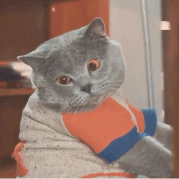 小可爱的撩人动图!