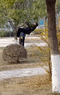 健身房|这届老年人健起身来，简直“野”到头皮发麻！就问你服不服哈哈哈