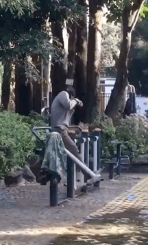 健身房|这届老年人健起身来，简直“野”到头皮发麻！就问你服不服哈哈哈