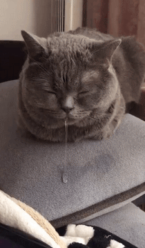 210_360gif 动态图 动图