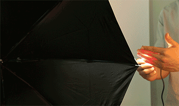 皮肤|人真的能被“晒”笨！丹麦实验发现：阳光直射让大脑受损