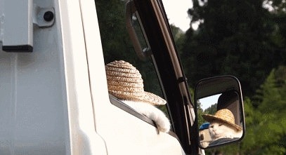 皮肤|人真的能被“晒”笨！丹麦实验发现：阳光直射让大脑受损