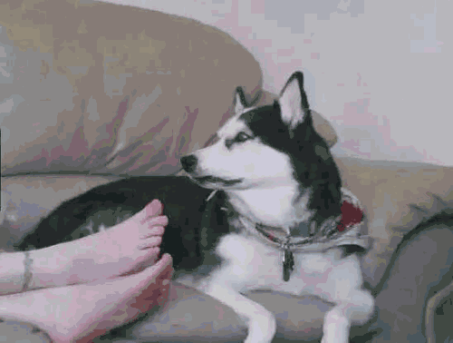 脚气|为什么有些人的脚总是那么臭？拥有大臭脚的人不一定有脚气