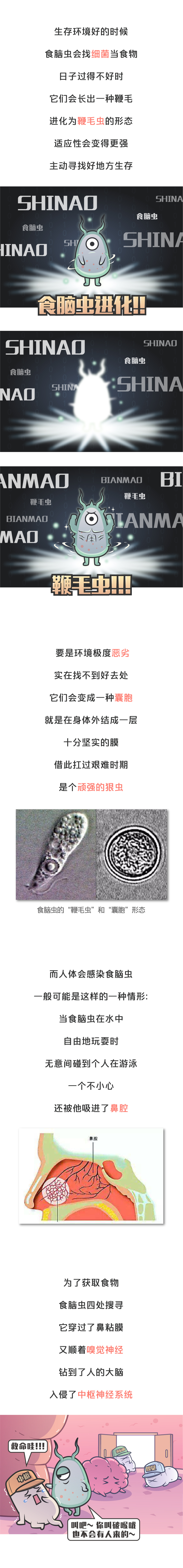 棘阿米巴原虫|死亡率超过97％，能使人出现幻觉，可怕又致命的“食脑虫”来了！