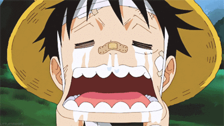 6个人眼中的路飞,娜美视其为沙袋,女帝和巴托洛米奥滤镜厚重