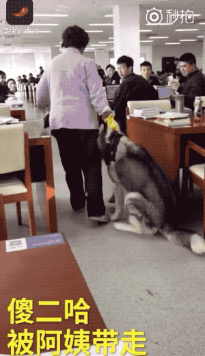 图书馆|有人说，它是“生活中最好的地方”