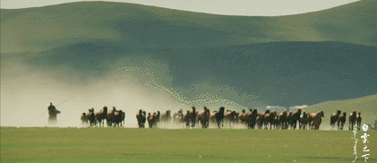 白云之下|不得不提的东京电影节入围佳作《白云之下》，美出新高度