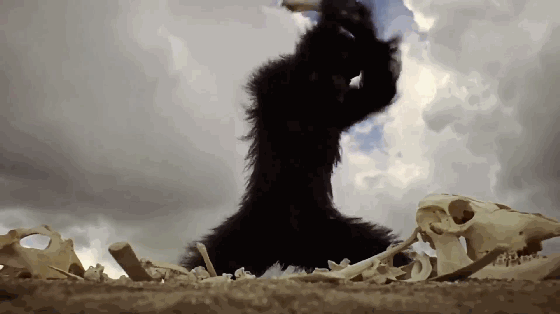 560_314gif 动态图 动图