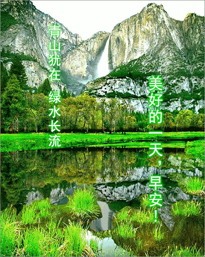 夏天早上好问候语图片 早上好祝福语表情大全2021