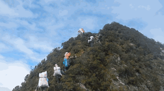 岭,正准备冲刺塘朗山顶的时候,发现走错了路,只好原路返回,下山又上山