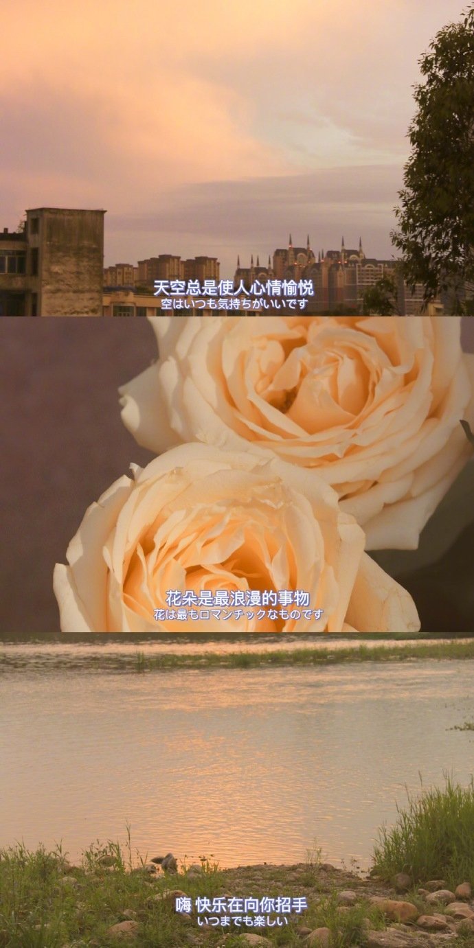 文案图,背景图,配图,朋友圈,壁纸