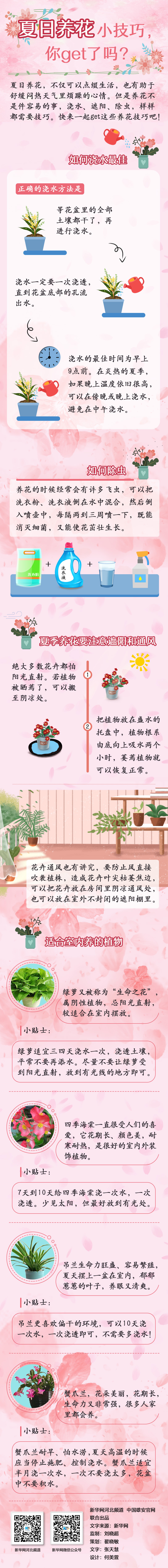 夏日养花小技巧 你get了吗 腾讯新闻