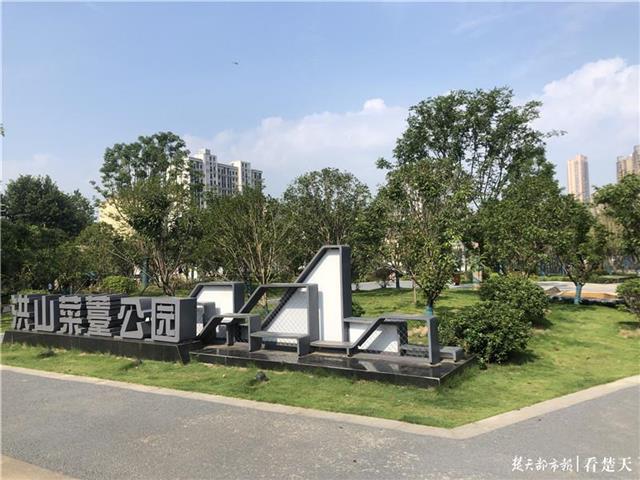 洪山菜薹,余渊