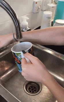 蛋炒饭|看完国外的蛋炒饭教学，我家狗子连夜给我做了四菜一汤