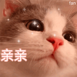 可爱到打滚的朋友圈文案