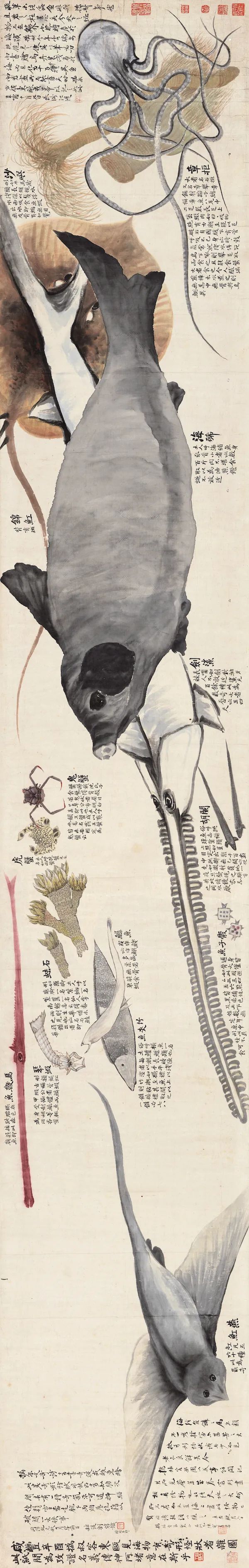 赵之谦|清代赵之谦《异鱼图》的“奇趣”与海洋生物