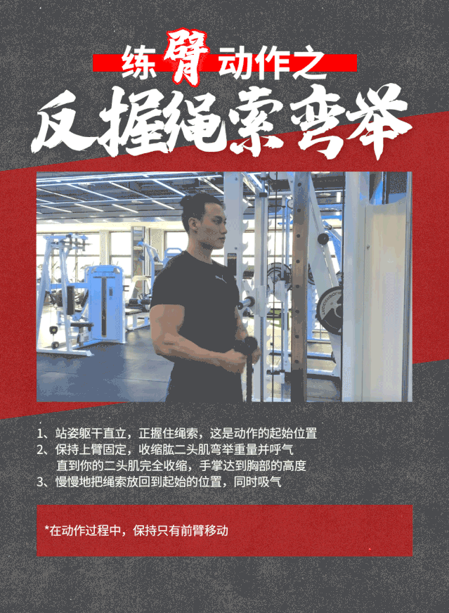 龙门架训练动作合集从此让你不愁练