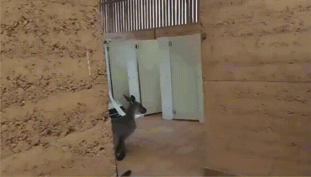 ЦͼƬ 棬й 